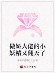 傲娇大佬的小萌妻
