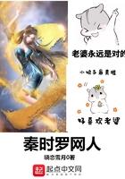 秦时罗网人加料版笔趣阁